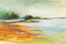 West Coast Inlet-Anne Farrall Doyle-Framed Giclee Print