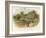 Anne Hathaway's Cottage at Shottery-William Stephen Coleman-Framed Giclee Print