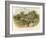 Anne Hathaway's Cottage at Shottery-William Stephen Coleman-Framed Giclee Print