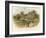 Anne Hathaway's Cottage at Shottery-William Stephen Coleman-Framed Giclee Print