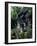 Anne Hathaway's Cottage, Shottery, Near Stratford-Upon-Avon, Warwickshire, England-Adam Woolfitt-Framed Photographic Print