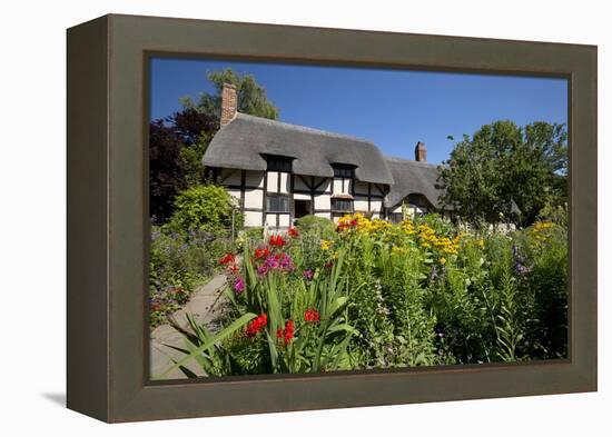 Anne Hathaway's Cottage, Stratford-Upon-Avon, Warwickshire, England, United Kingdom, Europe-Stuart Black-Framed Premier Image Canvas