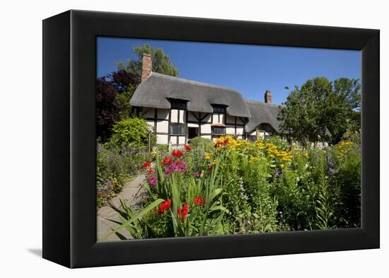 Anne Hathaway's Cottage, Stratford-Upon-Avon, Warwickshire, England, United Kingdom, Europe-Stuart Black-Framed Premier Image Canvas