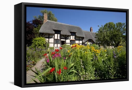 Anne Hathaway's Cottage, Stratford-Upon-Avon, Warwickshire, England, United Kingdom, Europe-Stuart Black-Framed Premier Image Canvas