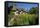 Anne Hathaway's Cottage, Stratford-Upon-Avon, Warwickshire, England, United Kingdom, Europe-Stuart Black-Framed Premier Image Canvas