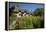 Anne Hathaway's Cottage, Stratford-Upon-Avon, Warwickshire, England, United Kingdom, Europe-Stuart Black-Framed Premier Image Canvas