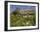 Anne Hathaway's Thatched Cottage, Shottery Near Stratford-Upon-Avon, Warwickshire, England, UK-Neale Clarke-Framed Photographic Print