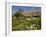 Anne Hathaway's Thatched Cottage, Shottery Near Stratford-Upon-Avon, Warwickshire, England, UK-Neale Clarke-Framed Photographic Print