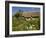 Anne Hathaway's Thatched Cottage, Shottery Near Stratford-Upon-Avon, Warwickshire, England, UK-Neale Clarke-Framed Photographic Print