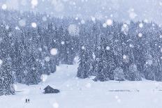 Italy, Cortina D'Ampezzo, Winter Sunset on Tofana Di Rozes-Anne Maenurm-Photographic Print