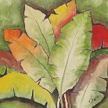 Banana Tree Leaves-Ormsby, Anne Ormsby-Art Print