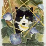 Kitten and Hollyhocks-Anne Robinson-Giclee Print