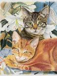 Tabby Cat-Anne Robinson-Giclee Print
