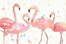 Flamingo Fever I-Anne Tavoletti-Art Print