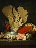 Vase, homard, fruits et gibier-Anne Vallayer-coster-Giclee Print
