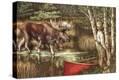 Stretched Canvas Print