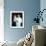 Annette Funicello-null-Framed Photo displayed on a wall