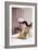 Annette Funicello-null-Framed Photo