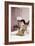 Annette Funicello-null-Framed Photo