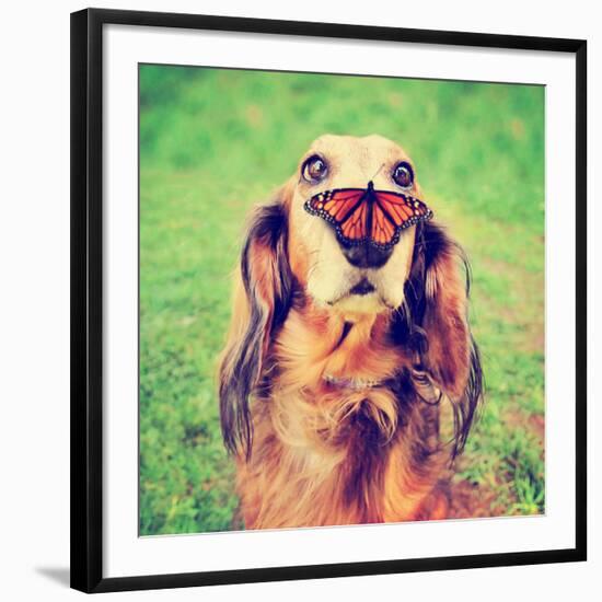 Photographic Print, , large
