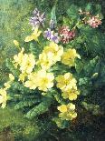 Spring Flowers-Annie Feray Mutrie-Giclee Print