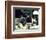 Annie Hall-null-Framed Photo