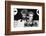 Annie Lennox and Dave Stewart the Eurythmics-Associated Newspapers-Framed Photo