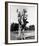 Annie Oakley-null-Framed Photo