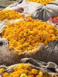 Marigolds Tied Up in Sacking Ready for Sale, Flower Market, Bari Chaupar, Jaipur, Rajasthan-Annie Owen-Photographic Print