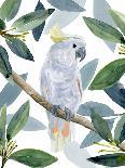 Tropical Parrot Composition I-Annie Warren-Art Print