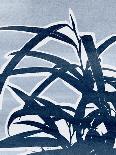Palm Frond Flow II-Annie Warren-Art Print
