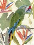 Cockatoo Perch I-Annie Warren-Art Print