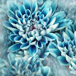 Photo Illustration of Abstract Flower Petals in Blue-Annmarie Young-Stretched Canvas