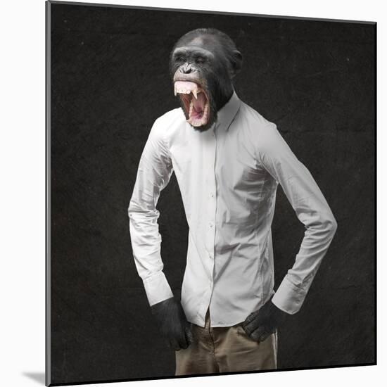 Annoyed Monkey Shouting On Black Background-Aaron Amat-Mounted Art Print