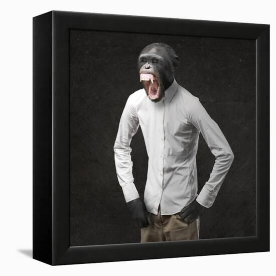 Annoyed Monkey Shouting On Black Background-Aaron Amat-Framed Stretched Canvas