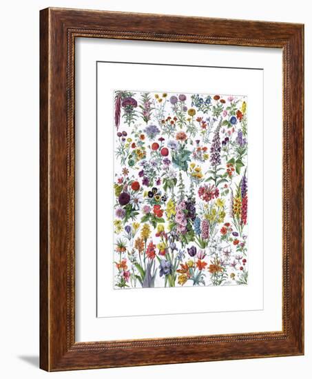 Annual and Biannual Flowers-null-Framed Giclee Print