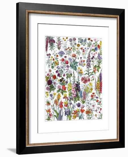 Annual and Biannual Flowers-null-Framed Giclee Print