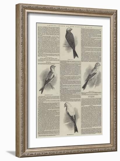 Annual Shows of the Canary Fancy-null-Framed Giclee Print