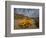 Annual Spring Wild Daisies, Namaqualand, Northern Cape, South Africa, Africa-Steve & Ann Toon-Framed Photographic Print