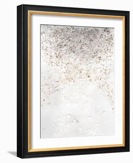 Anodized III-Vanna Lam-Framed Art Print