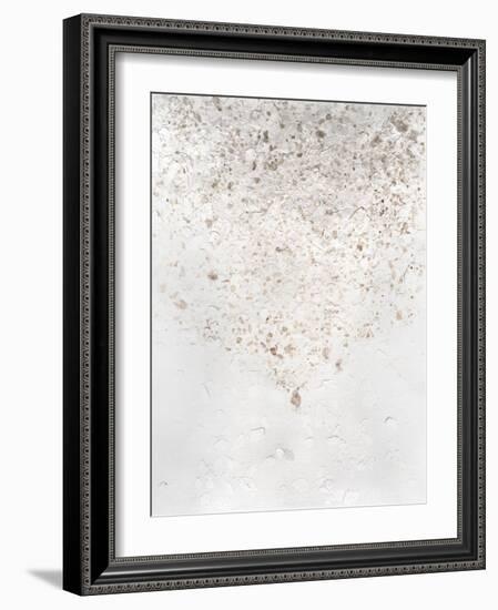 Anodized IV-Vanna Lam-Framed Art Print