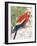 Another Bird in Paradise I-Julie DeRice-Framed Art Print