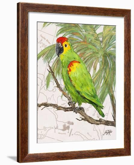 Another Bird in Paradise II-Julie DeRice-Framed Premium Giclee Print