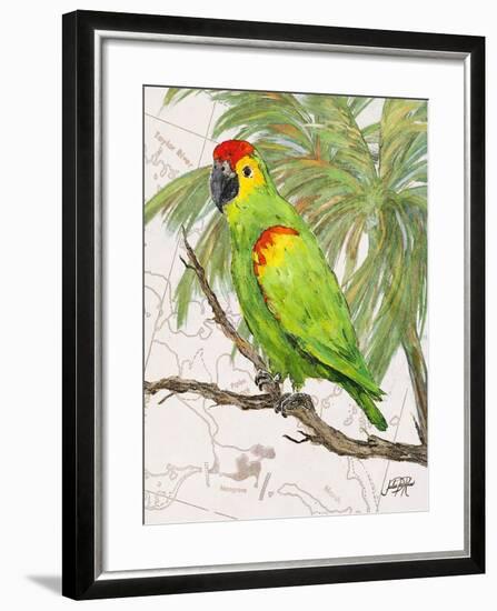 Another Bird in Paradise II-Julie DeRice-Framed Premium Giclee Print