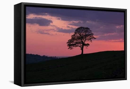 Another Day Passing-Doug Chinnery-Framed Premier Image Canvas