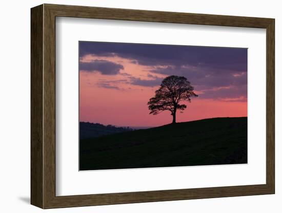 Another Day Passing-Doug Chinnery-Framed Photographic Print