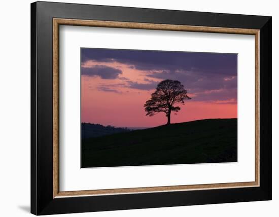 Another Day Passing-Doug Chinnery-Framed Photographic Print