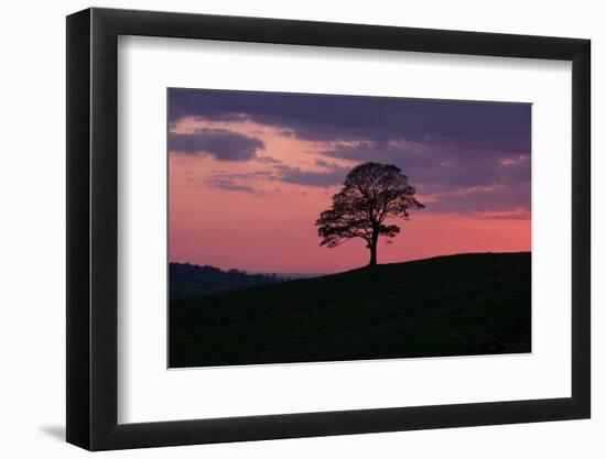 Another Day Passing-Doug Chinnery-Framed Photographic Print