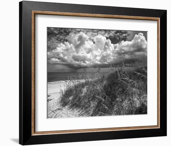 Another Glorius Day-Eve Turek-Framed Art Print