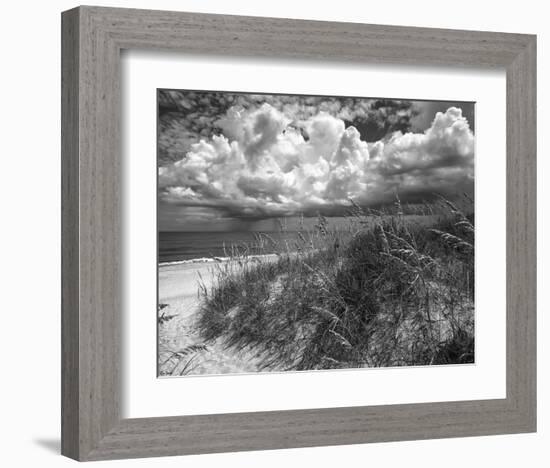 Another Glorius Day-Eve Turek-Framed Art Print